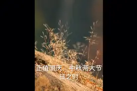 女星杨颖去国外看脱衣舞被央视封杀视频封面