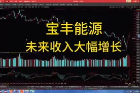 宝丰能源未来收入大幅增长视频封面
