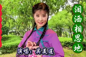 黄梅戏梅花奖得主吴美莲演唱经典片段《泪洒相思地》声音好听圆润视频封面