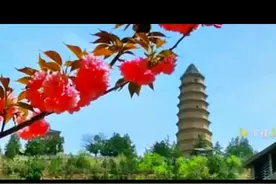 巍巍宝塔山，中国革命的摇篮。视频封面