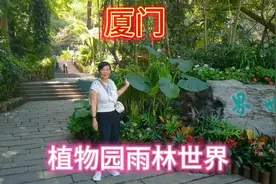 厦门，植物园的雨林世界美丽的景色，让人心醉神迷。网红打卡地！视频封面