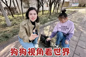 狗狗经常受伤，老公买摄像头给狗戴上，记录一下到底发生了啥视频封面