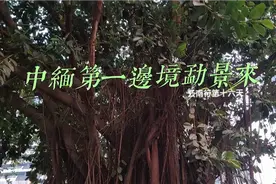 中缅边境第一寨勐景来看爸爸去哪儿拍摄地吃傣家午餐打卡229界碑视频封面
