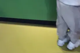 小宝贝，我们回家啦视频封面