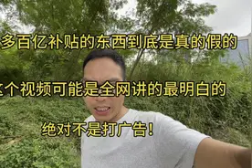 拼多多上百亿补贴的东西到底是真的还是假的，眼镜哥亲身经历！视频封面
