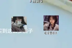 抛弃视频封面