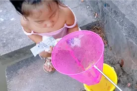 小西来小河边捞鱼咯，小鱼儿童搞笑视频，1-3岁儿童搞笑视频视频封面