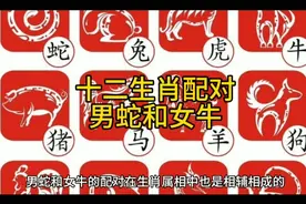 十二生肖配对男蛇和女牛视频封面