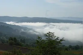 8月份了，甘肃农村山区还在收麦子，两位用镰刀收麦