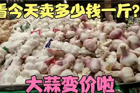 山东大蒜价格变啦，看4月29日大蒜卖多少钱一斤？看完你觉得贵吗视频封面