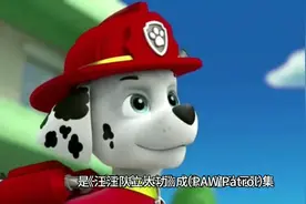 动画片《汪汪队立大功》