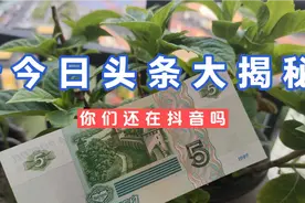 #头条双星激励计划  抖音起号开始了，一键抖音同步今日头条。视频封面