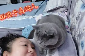 这猫咪没白疼，看看和奶奶多亲呀，视频封面