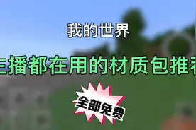 我的世界主播都在用的两款材质包推荐