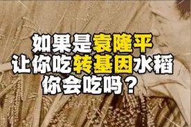 袁隆平爷爷也做转基因研究，成就不仅只有杂交水稻视频封面