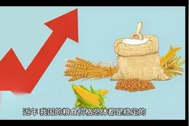 为守护“耕地红线”，陕西商洛强砍农户国槐树，无商议，无补贴！视频封面