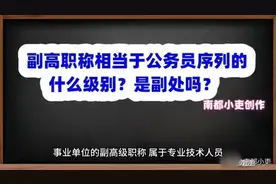 副高职称相当于公务员序列的什么级别？是副处吗？视频封面