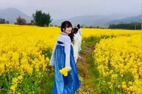 第一次为家乡做宣传，花在山野，春在桃溪视频封面