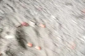 鲨鱼吃穿地球的第一天视频封面