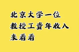 北京大学一位教授，工资年收入，来看看。视频封面