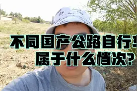 不同国产品牌公路自行车，属于什么档次？视频封面
