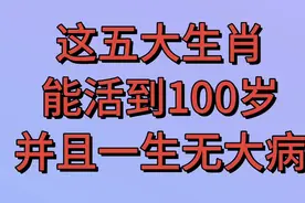 这五大生肖，能活到100岁，一生无大病来看看你家有几个视频封面