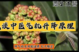 浅谈中医气机升降原理视频封面