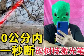 网购美国黑科技砍树枝激光笔，据说30公分内秒断树枝？打开我懵了视频封面