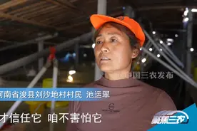 记者调查：新希望六和，2000多万肉鸭款何时能给养殖户？视频封面