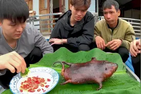 东南亚特色美食之炭烤小竹鼠视频封面