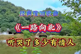 这才是《一路向北》真正原唱，撕心裂肺的歌声，太走心，听哭了！视频封面