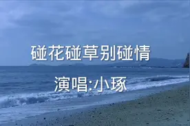 《碰花碰草别碰情》小琢演唱，动手动脚别动情，花落花飞为情伤…视频封面