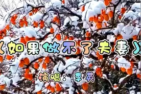 好歌推荐百听不厌！欣赏李英演唱的伤感情歌《如果做不了夫妻》！视频封面