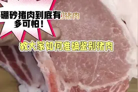 硼砂猪肉到底有多可怕？下面我来教大家如何鉴别硼砂猪肉！视频封面