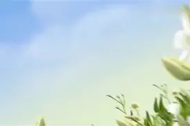 秦东魁老师 【激发正能量 智慧语录】第十三集视频封面
