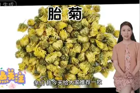 胎菊，人体”灭火器”