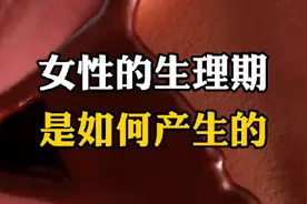女性生理期是如何产生的，看完这期视频你就会了解相关知识视频封面