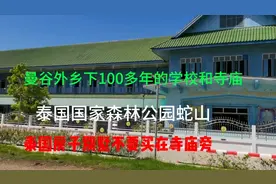 泰国乡下 百年寺庙和庙会学校 国家公园洗手间 遭遇蜂拥的蚊子🦟视频封面