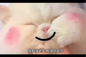 嫁#嫁人视频封面