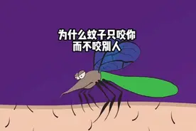 为什么总感觉蚊子只咬你，而不咬别人？