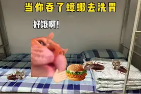 当你不小心吞了蟑螂去洗胃 #猫meme #真实还原 #抽象视频封面