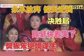 正播世乒赛男团决赛！3比2 樊振东惊天逆转！王者归来 击溃勒布伦视频封面
