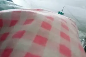 清新可爱的粉红色格子布，满满少女心！视频封面