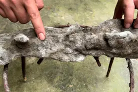 奶奶珍藏了7年的陈年腊肉 全身长满霉斑和污垢 切开一看高兴坏了视频封面