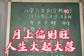 八字600例分析40：月上偏财旺，人生大起落视频封面