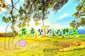 在希望的田野上，我们将永远看到希望的力量，感受希望的力量。视频封面