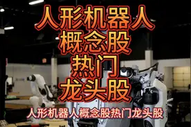 人形机器人概念股热门龙头股