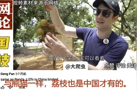 老外吃中国的荔枝引外网热议：荔枝和熊猫一样，只有中国有？视频封面