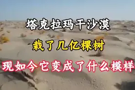 沙漠奇迹：塔克拉玛干沙漠的绿洲变迁视频封面