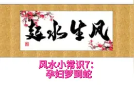 风水小常识7：孕妇梦到蛇视频封面
